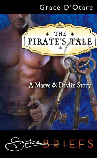 The Pirate s Tale
