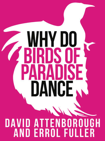 Sir Attenborough David - David Attenborough’s Why Do Birds of Paradise Dance