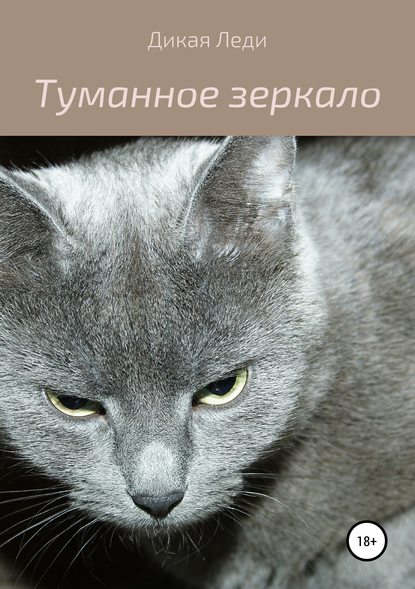 

Туманное зеркало
