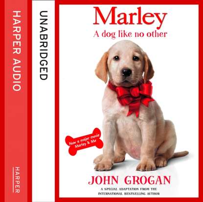 John  Grogan - Marley: A Dog Like No Other