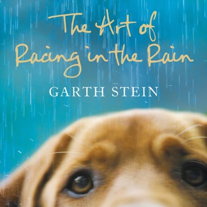 Garth  Stein - Art Of Racing In The Rain