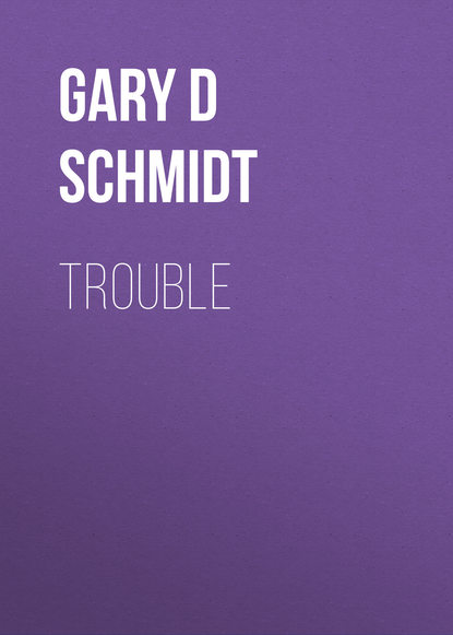 Gary D Schmidt — Trouble