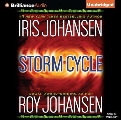 Iris Johansen — Storm Cycle