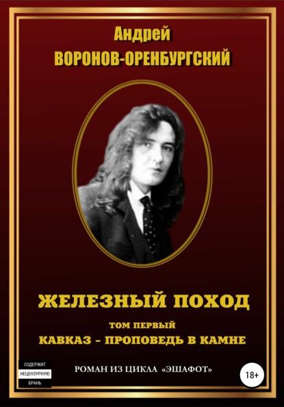

Железный поход. Том первый. Кавказ – проповедь в камне