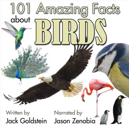 Ксюша Ангел - 101 Amazing Facts about Birds