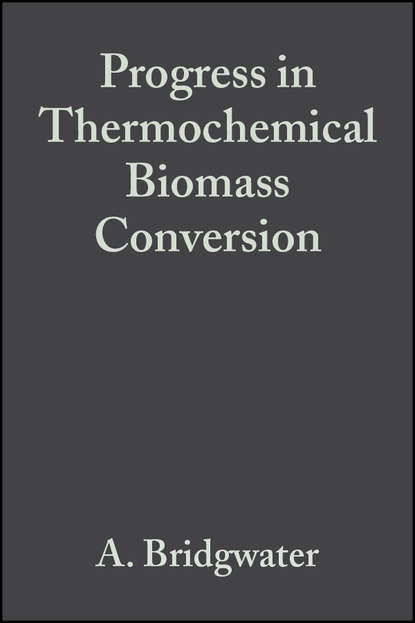 Progress in Thermochemical Biomass Conversion (A. Bridgwater). 