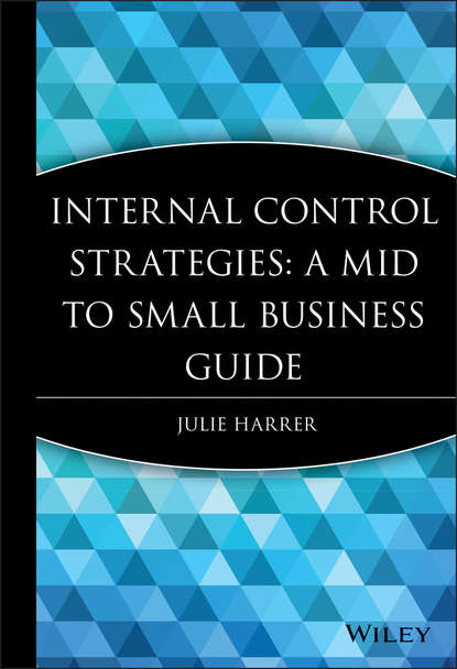 Группа авторов - Internal Control Strategies