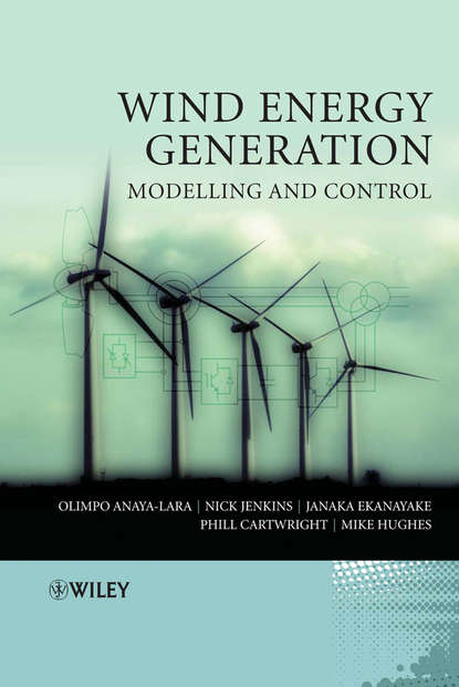 Wind Energy Generation: Modelling and Control