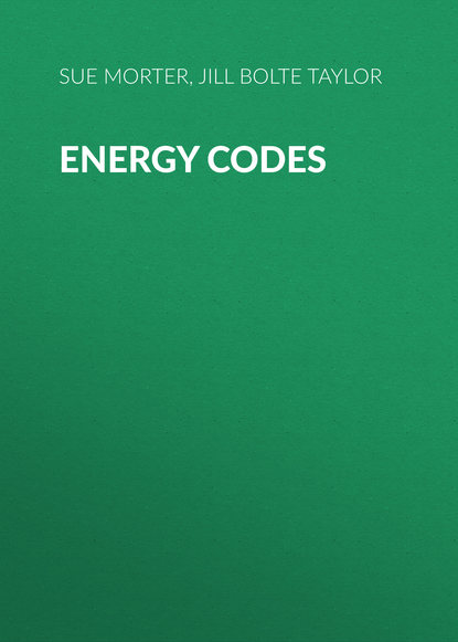 Sue Morter — Energy Codes