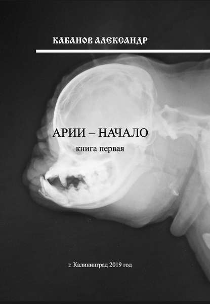 Арии - начало. Книга 1