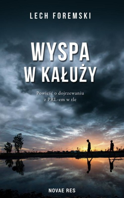 Lech Foremski - Wyspa w kałuży