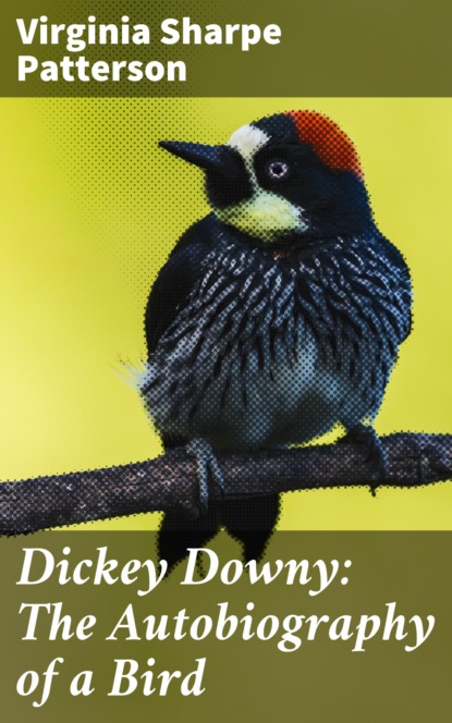 

Dickey Downy: The Autobiography of a Bird