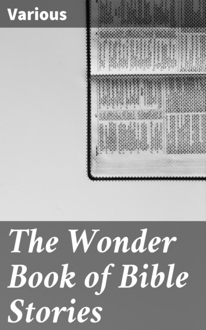 Various - The Wonder Book of Bible Stories