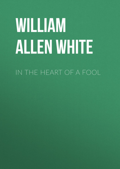 

In the Heart of a Fool