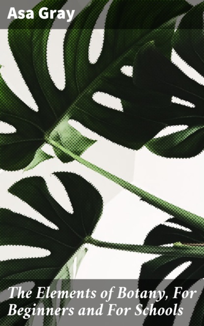 

The Elements of Botany, For Beginners and For Schools