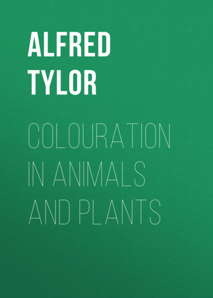 

Colouration in Animals and Plants