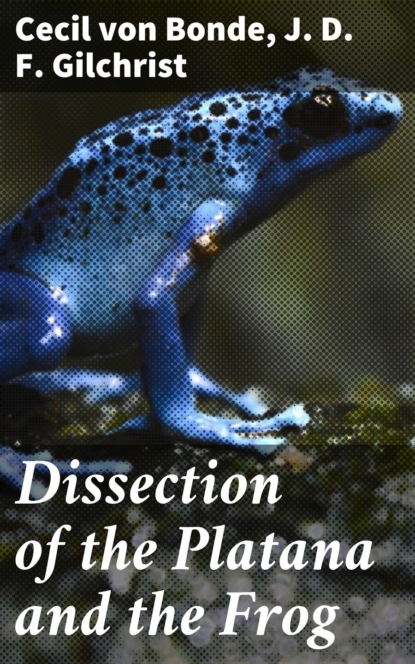 

Dissection of the Platana and the Frog