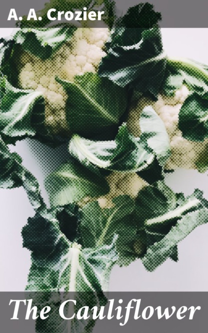 

The Cauliflower