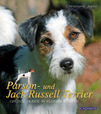 Christiane Jantz - Parson- und Jack Russell Terrier