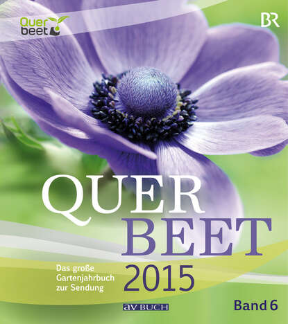 Querbeet 2015 (6) (Julia Schade). 