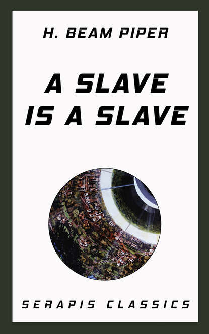 

A Slave is a Slave