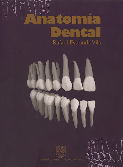 Anatomía dental - Rafael Esponda Vila