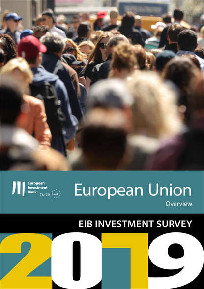 Группа авторов - EIB Group Survey on  Investment and Investment Finance 2019: EU overview