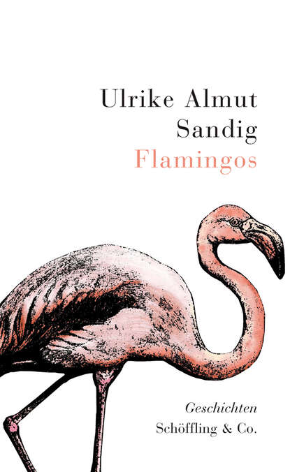 Flamingos (Ulrike Almut Sandig). 