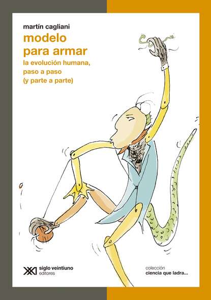 

Modelo para armar