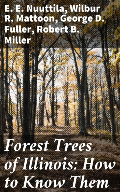 

Forest Trees of Illinois: How to Know Them