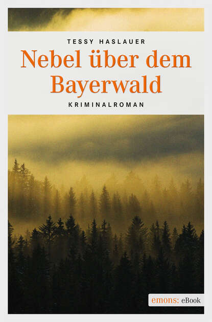 Nebel über dem Bayerwald