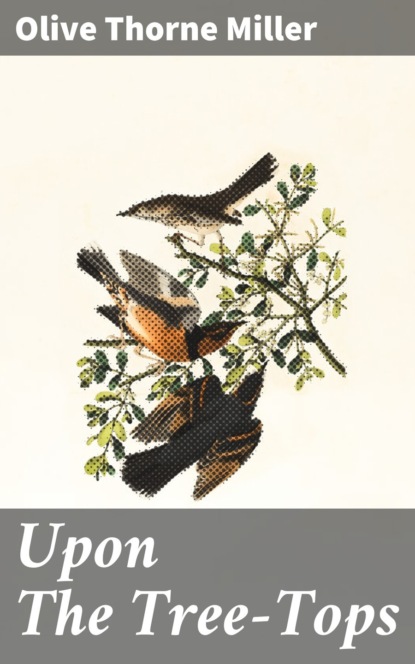 

Upon The Tree-Tops