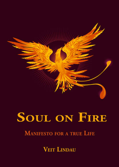 Veit Lindau — Soul on Fire. True Life Manifesto