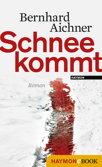 Bernhard  Aichner - Schnee kommt
