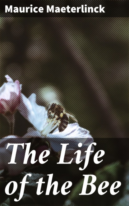 Maurice Maeterlinck - The Life of the Bee