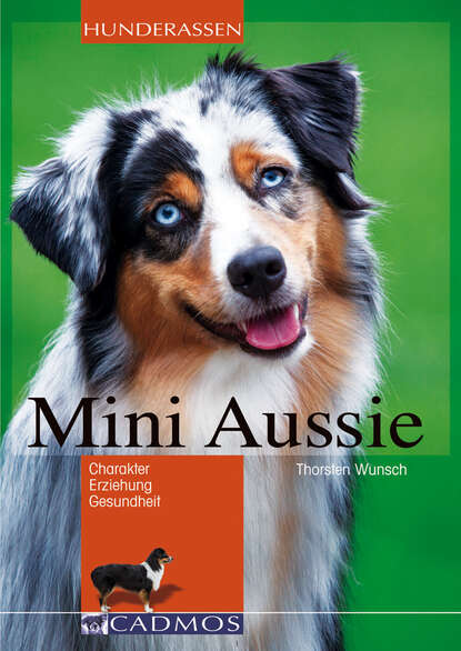 Mini Aussie (Thorsten Wunsch). 