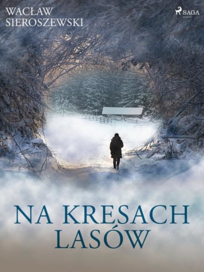 

Na kresach lasów