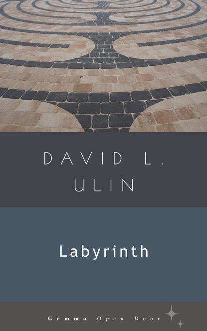 David L. Ulin - Labyrinth