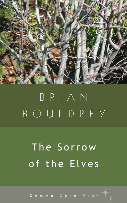 Brian Bouldrey - The Sorrow of Elves