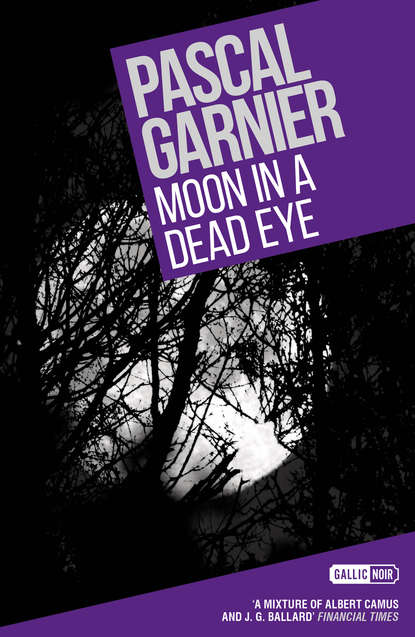 Pascal  Garnier - Moon in a Dead Eye: Shocking, hilarious and poignant noir