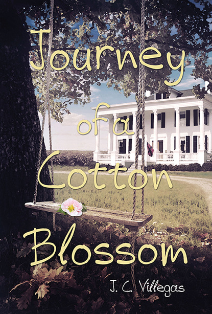 Jennifer Crocker-Villegas - Journey of a Cotton Blossom