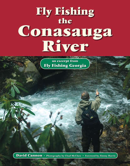 David Cannon L. - Fly Fishing the Conasauga River