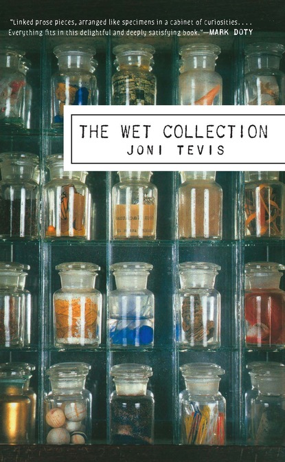 

The Wet Collection