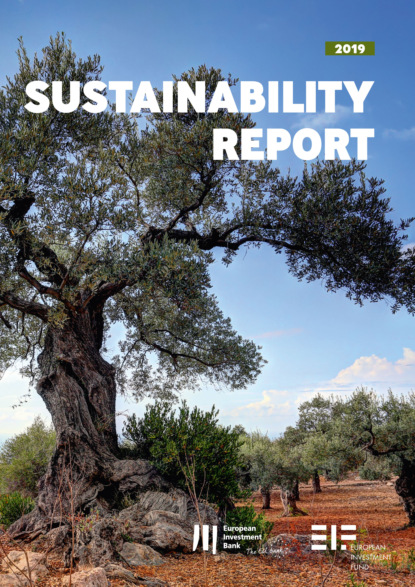 Группа авторов - European Investment Bank Group Sustainability Report 2019