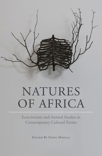 Jonathan Bishop Highfield - Natures of Africa