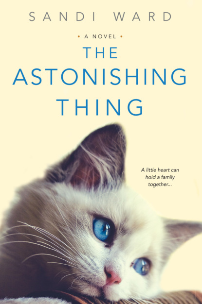 Sandi Ward - The Astonishing Thing