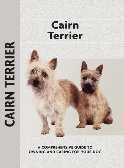 Robert Jamieson - Cairn Terrier