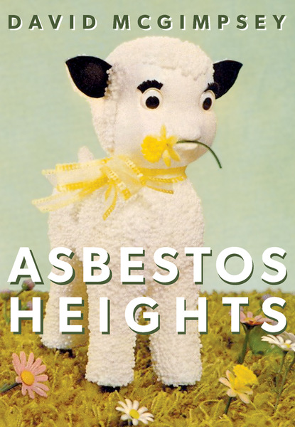 David McGimpsey - Asbestos Heights