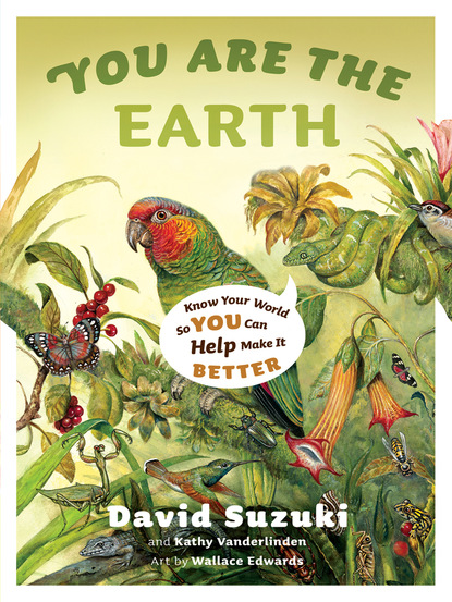 David  Suzuki - You Are the Earth