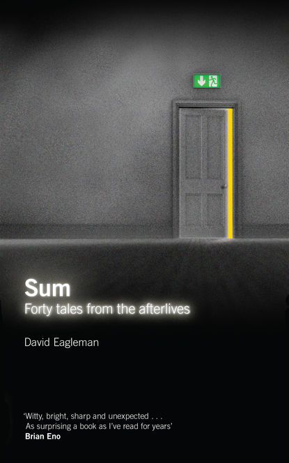 David  Eagleman - Sum